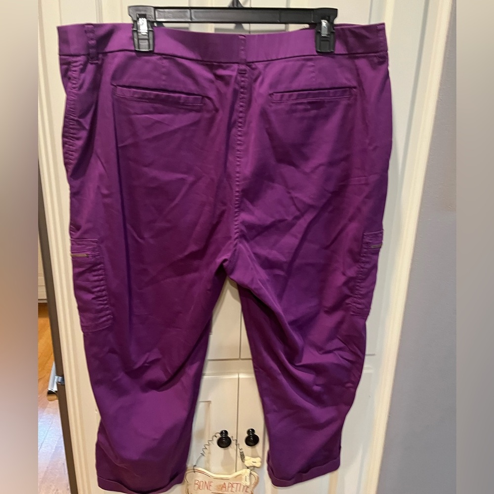 Chico’s Capris - Picture 5 of 5